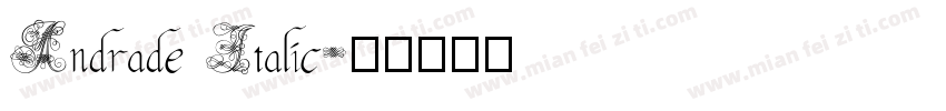 Andrade Italic字体转换